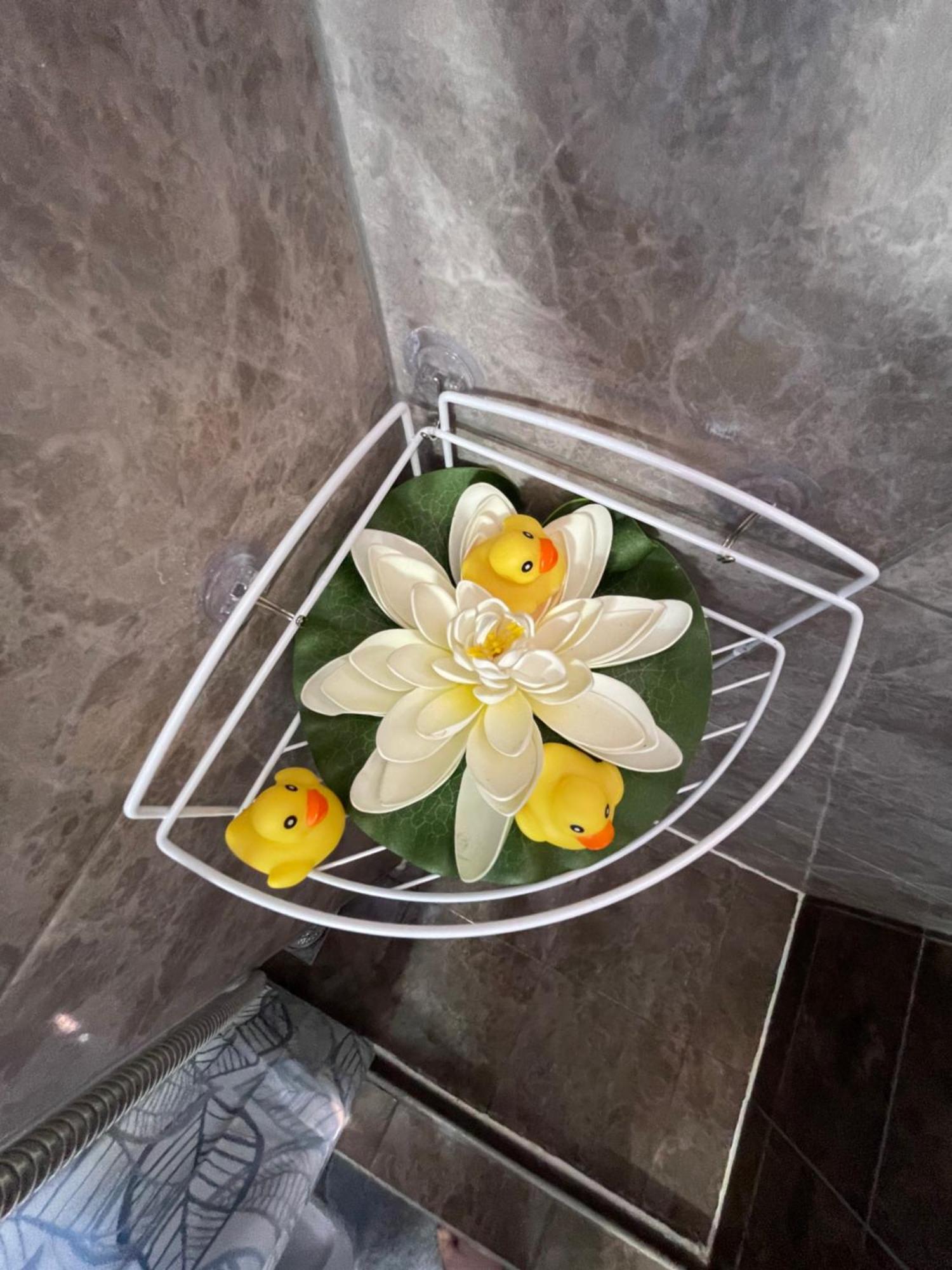 Apartment Maki Kotor Luaran gambar